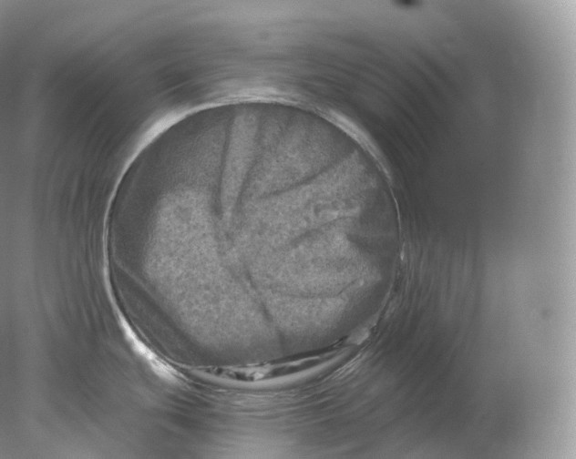 X0000078301439200611172137