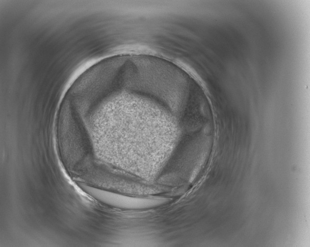 X0000078301440200611172137