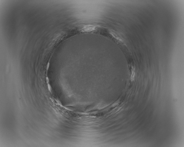 X0000078301441200611172136