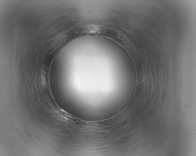 X0000078301442200611172136