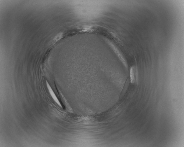 X0000078301443200611172136