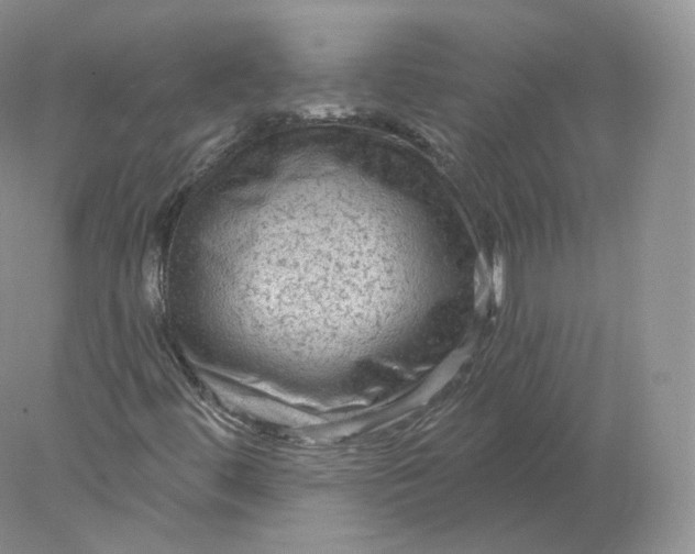 X0000078301444200611172136