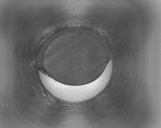 X0000078301445200611172136