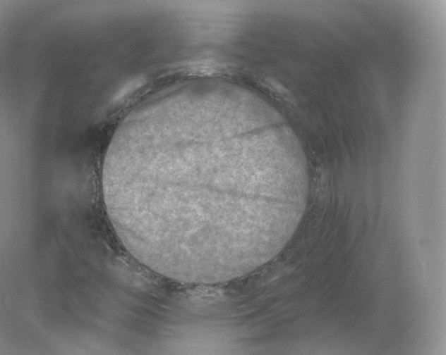 X0000078301446200611172136