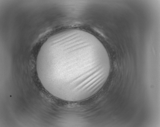 X0000078301447200611172136