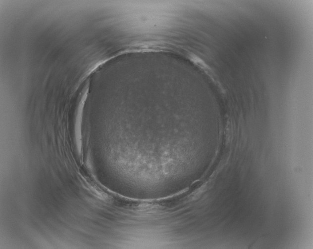 X0000078301449200611172136