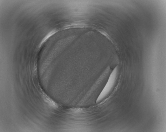 X0000078301450200611172136