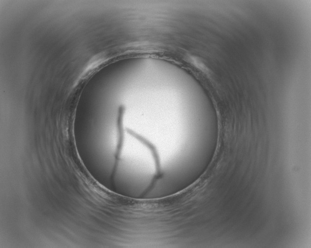 X0000078301451200611172136