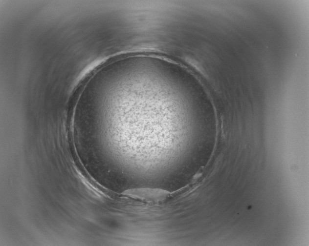 X0000078301452200611172136