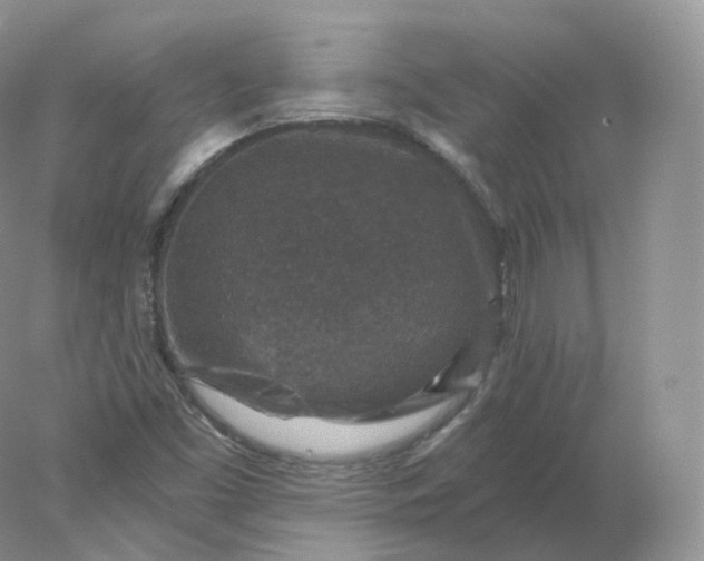 X0000078301453200611172136