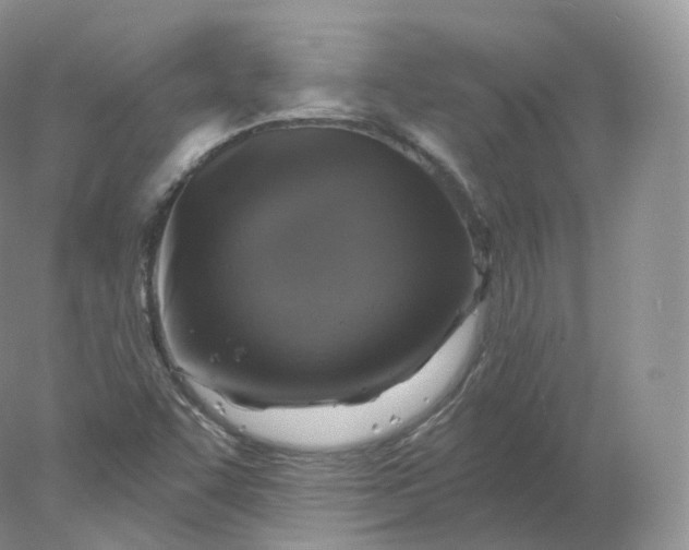 X0000078301455200611172136