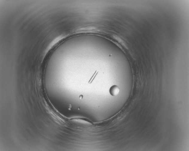 X0000078301458200611172136