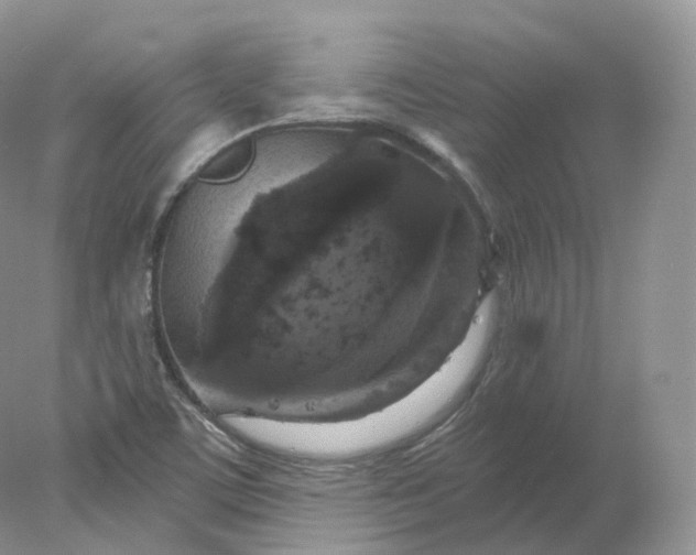 X0000078301459200611172136