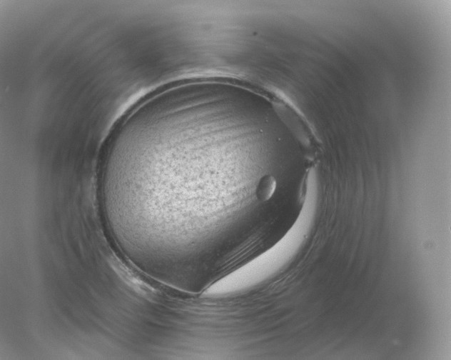 X0000078301460200611172136