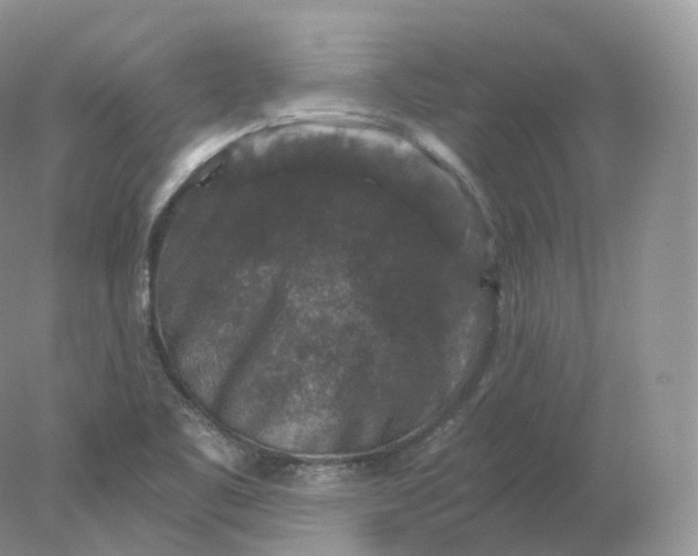 X0000078301461200611172136