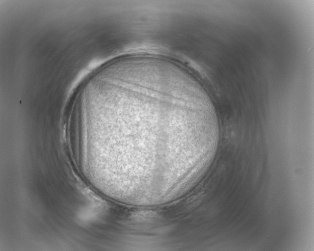 X0000078301462200611172136