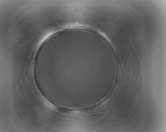 X0000078301463200611172136