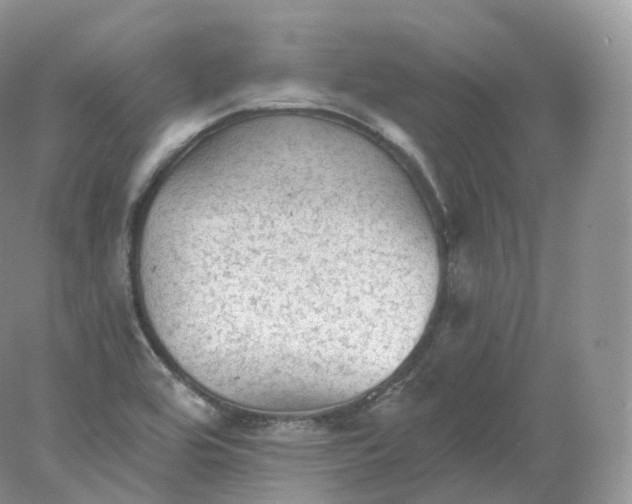 X0000078301464200611172136