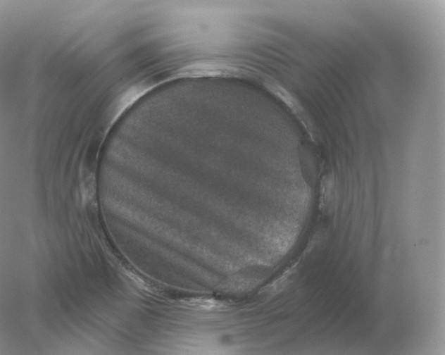 X0000078301465200611172136