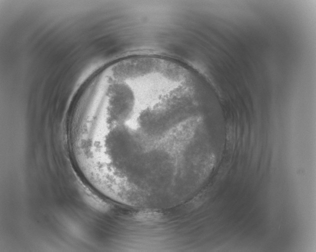 X0000078301466200611172135