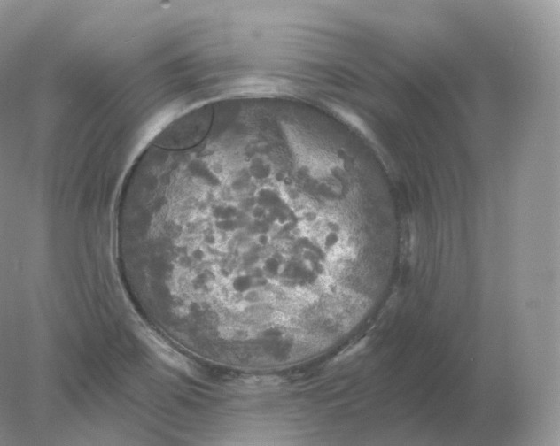 X0000078301467200611172135