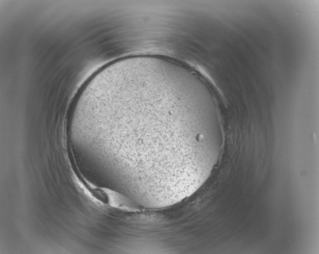 X0000078301468200611172135