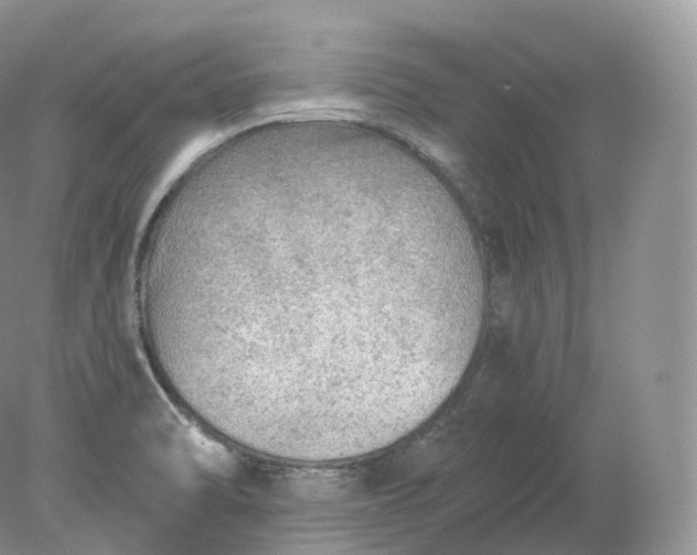 X0000078301470200611172135