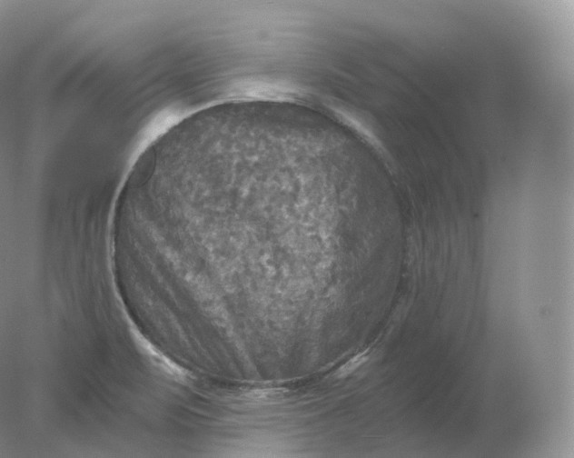 X0000078301471200611172135