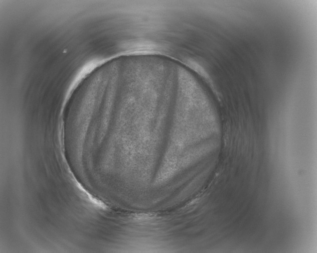 X0000078301472200611172135