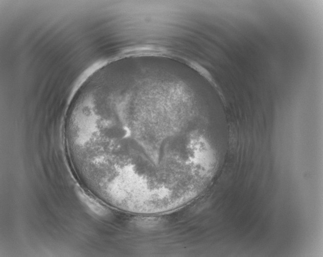 X0000078301474200611172135