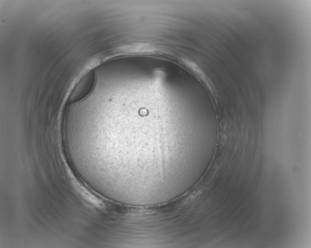 X0000078301475200611172135