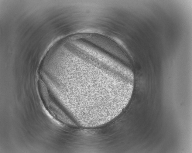 X0000078301476200611172135