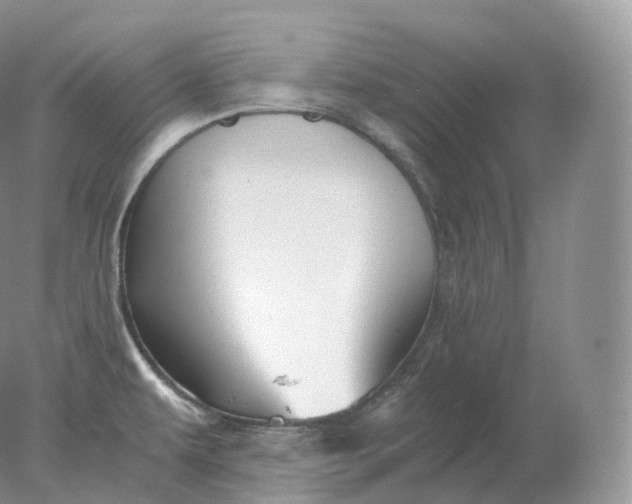 X0000078301479200611172135