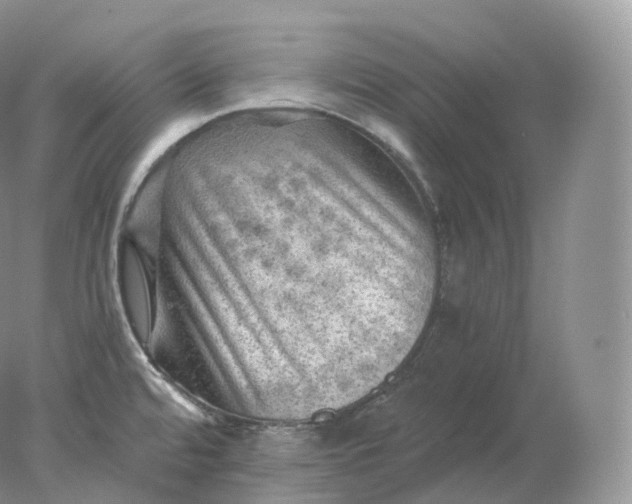 X0000078301480200611172135