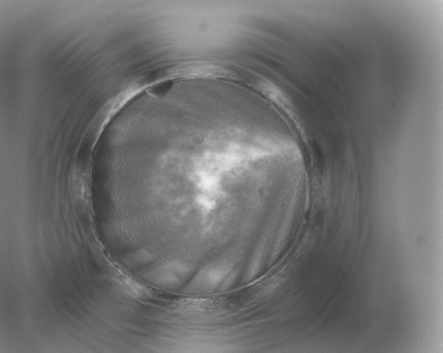 X0000078301481200611172135