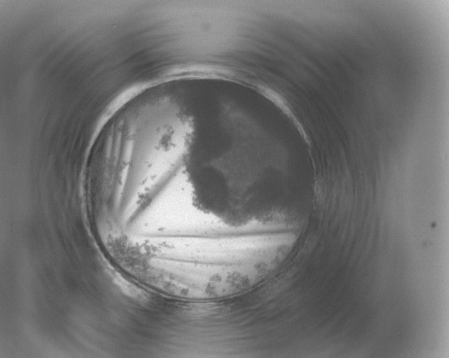 X0000078301482200611172135