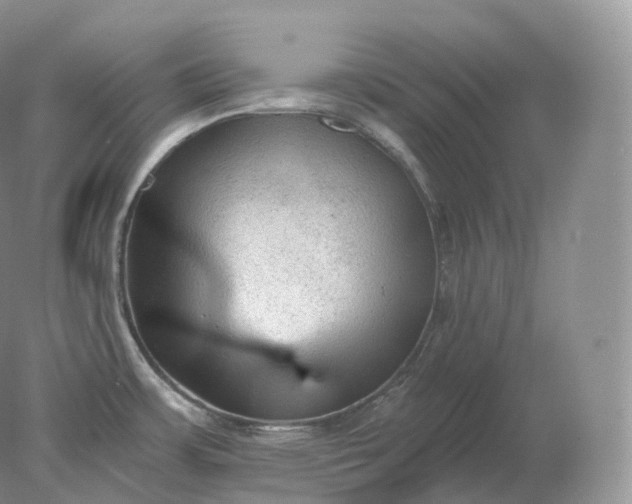 X0000078301483200611172135