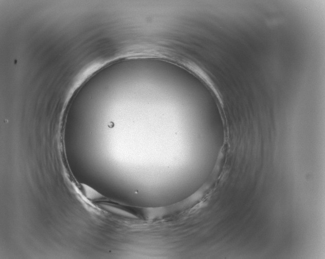 X0000078301485200611172135