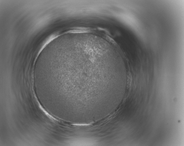 X0000078301487200611172135