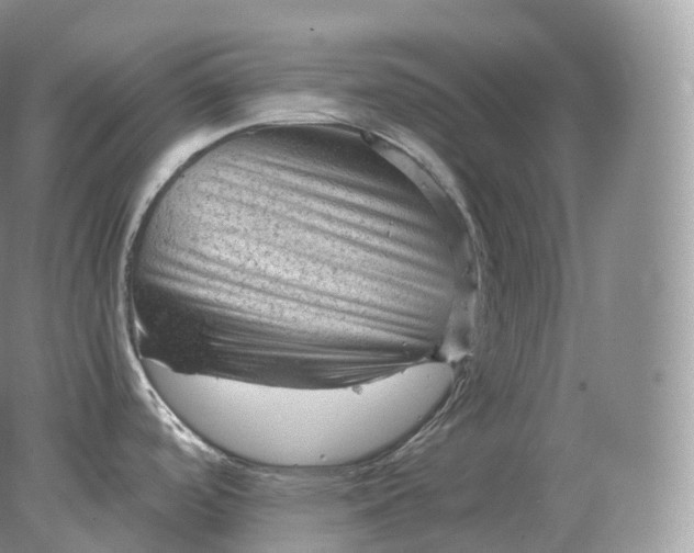 X0000078301488200611172135