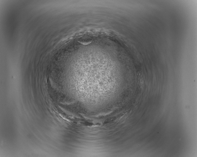 X0000078301489200611172134