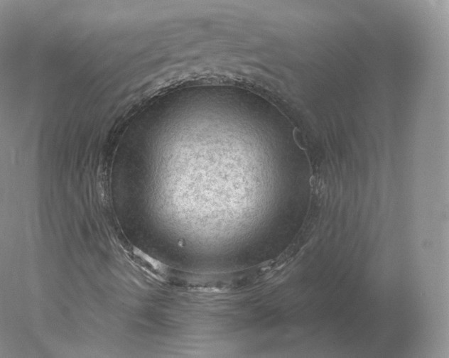 X0000078301490200611172134