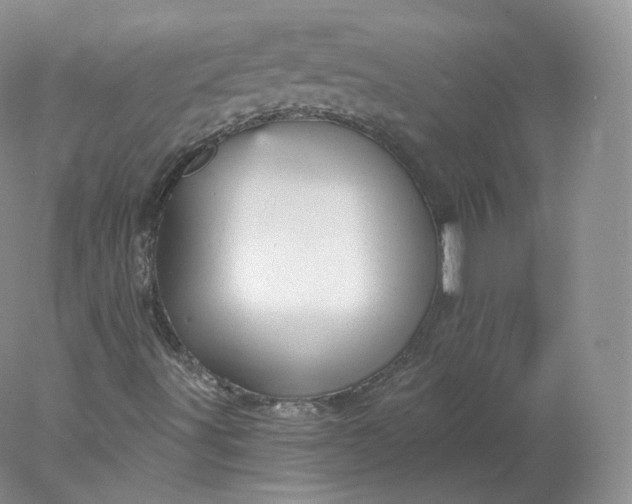 X0000078301491200611172134