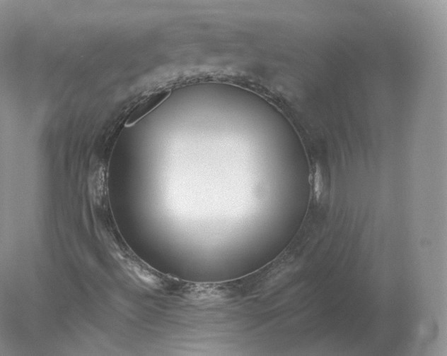 X0000078301492200611172134