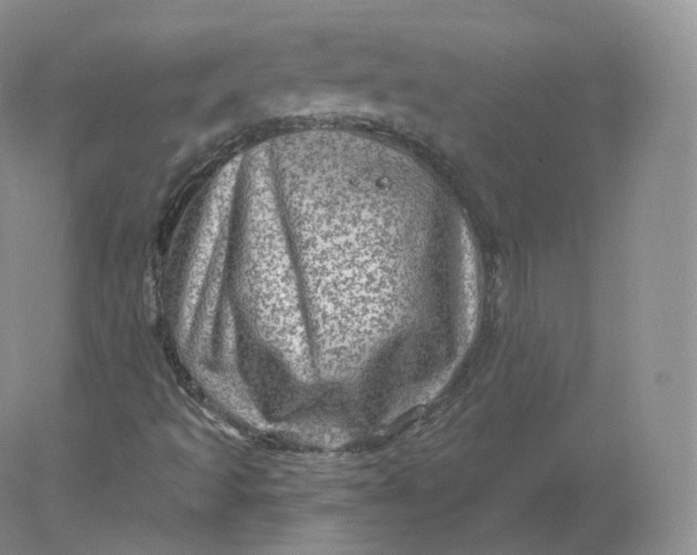 X0000078301493200611172134