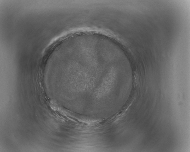 X0000078301494200611172134