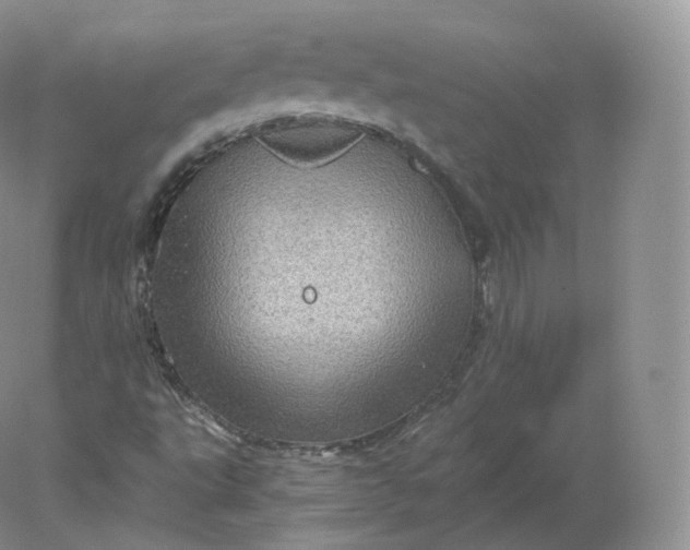 X0000078301495200611172134