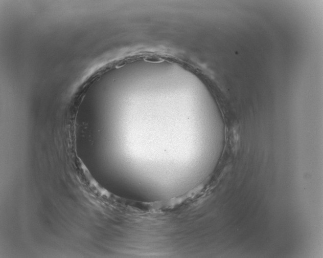 X0000078301496200611172134