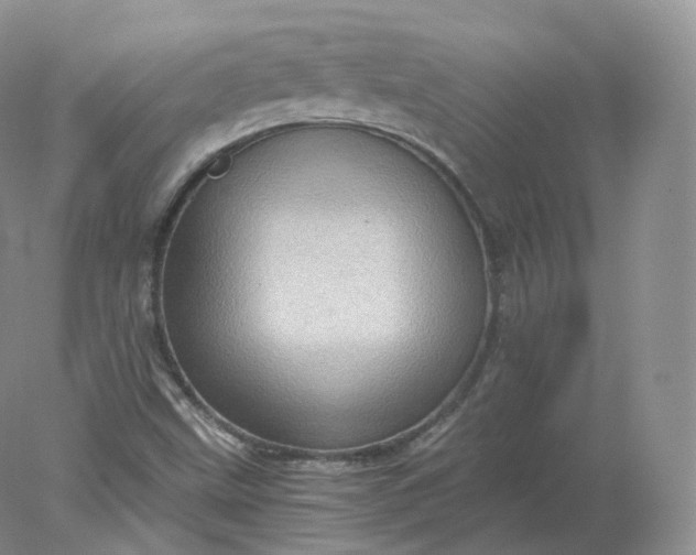 X0000078301499200611172134