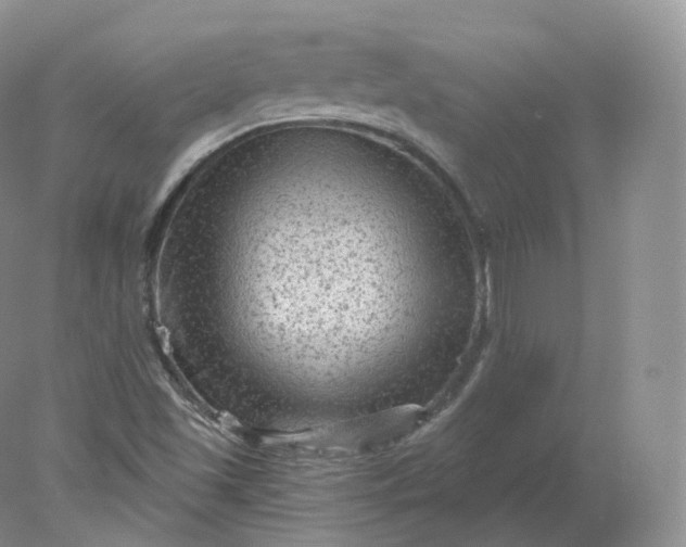 X0000078301501200611172135